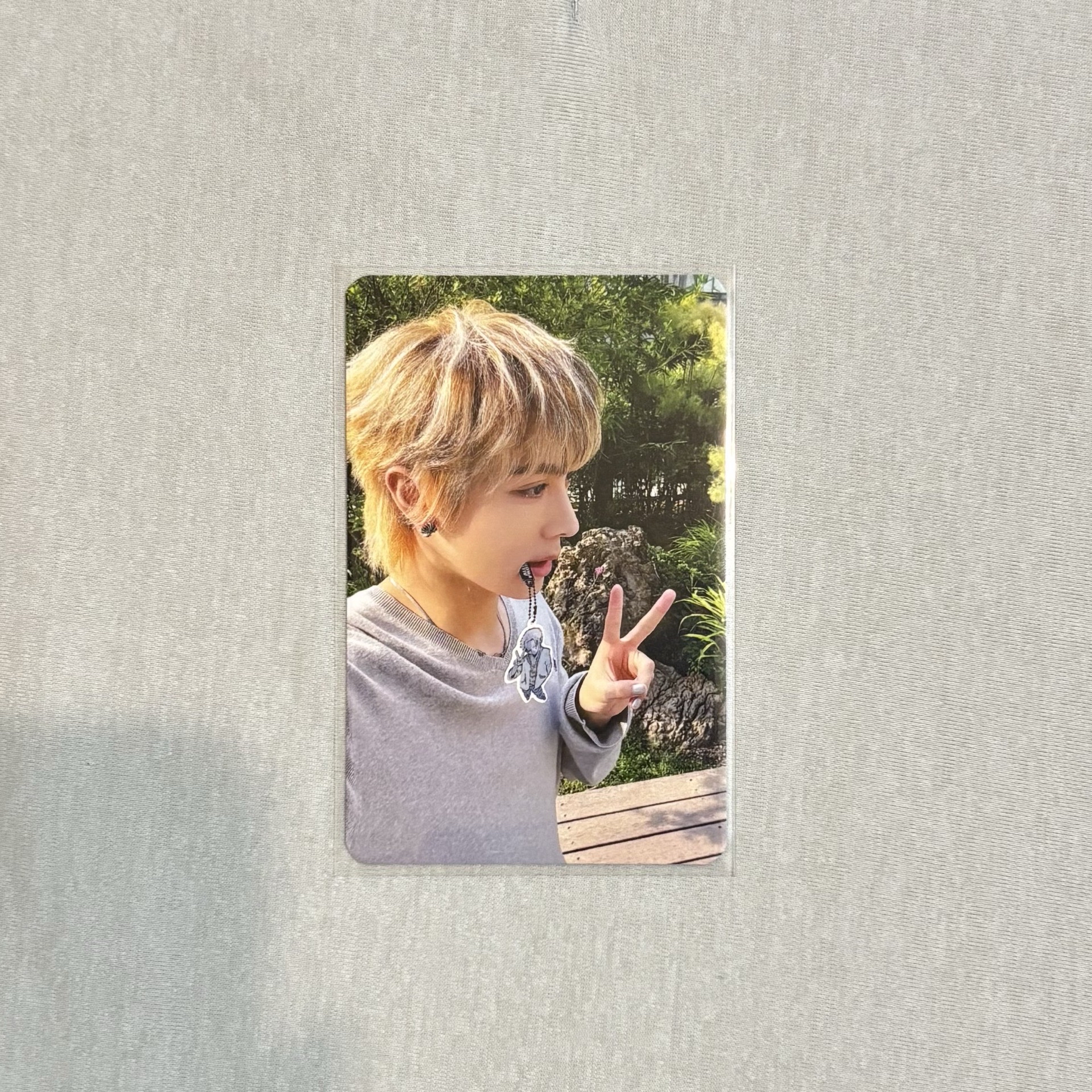 allday project nz1.0燦