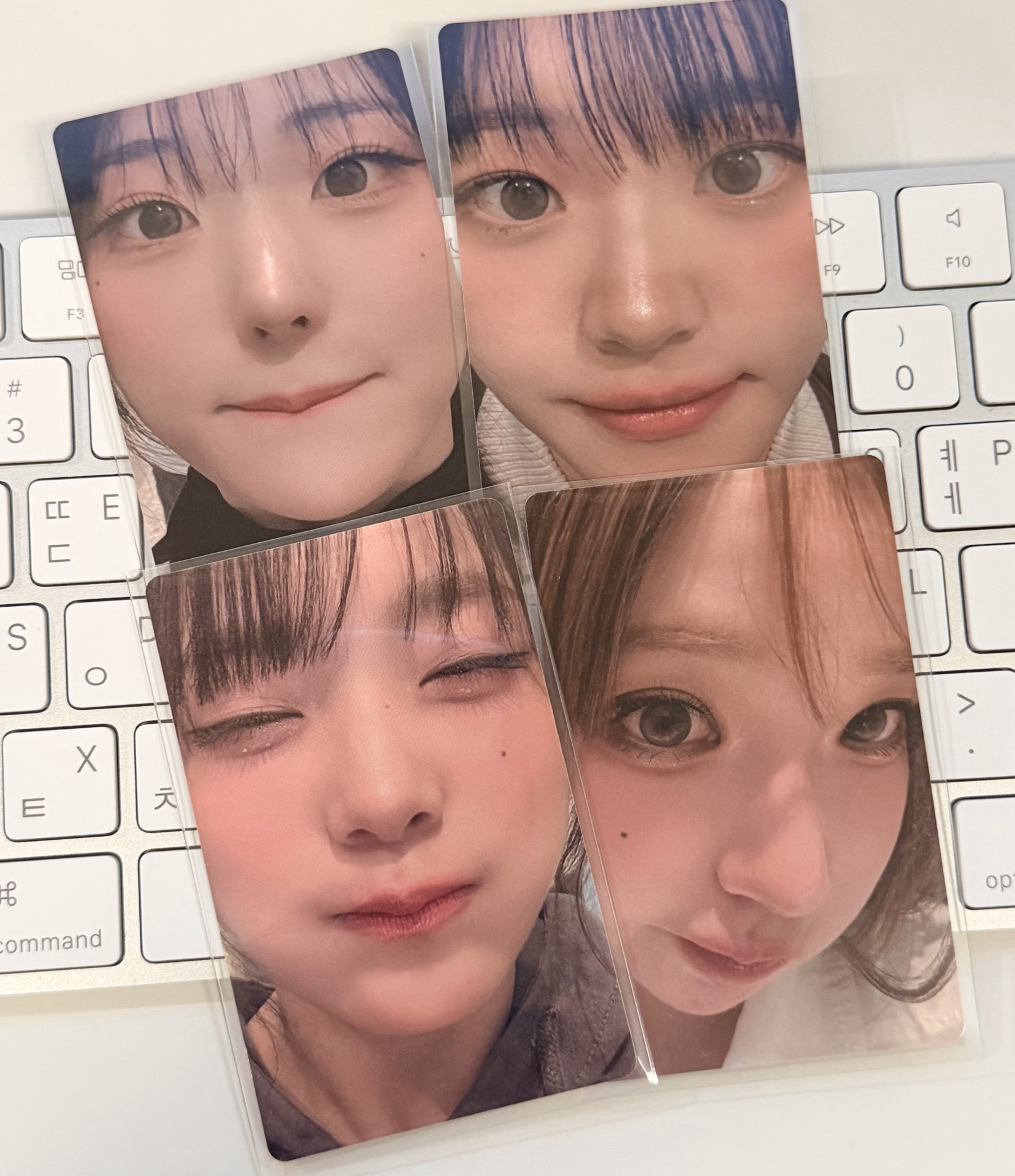 迷三 wvs 1.0 簽售卡 