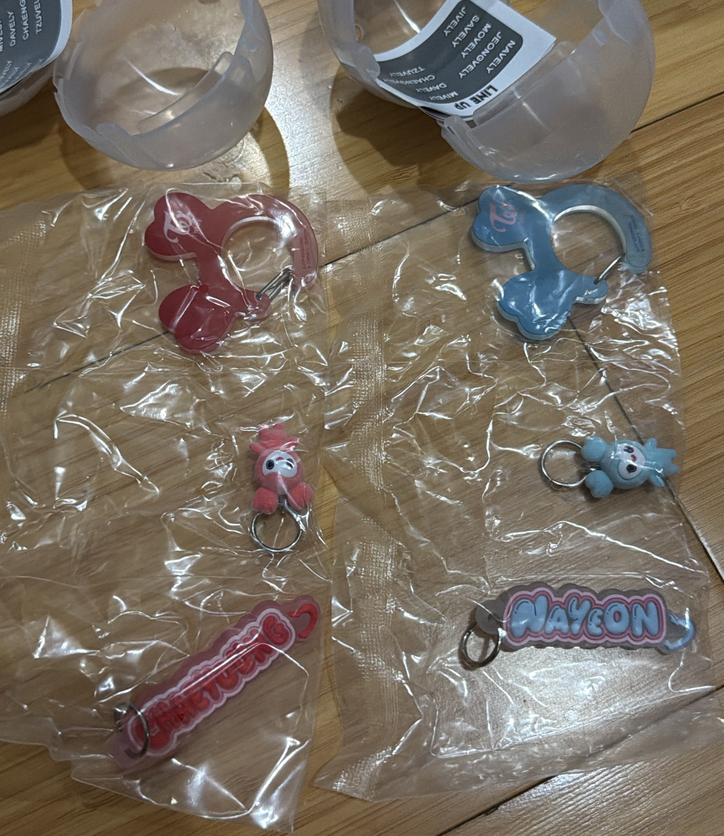 Twice 萬代 登山扣 娜/彩現貨 