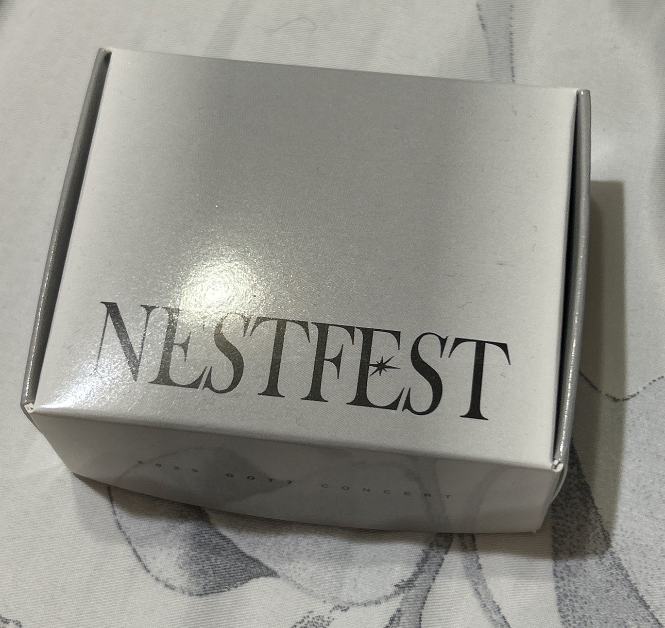 GOT7 Nestfest演唱會場週 項鍊