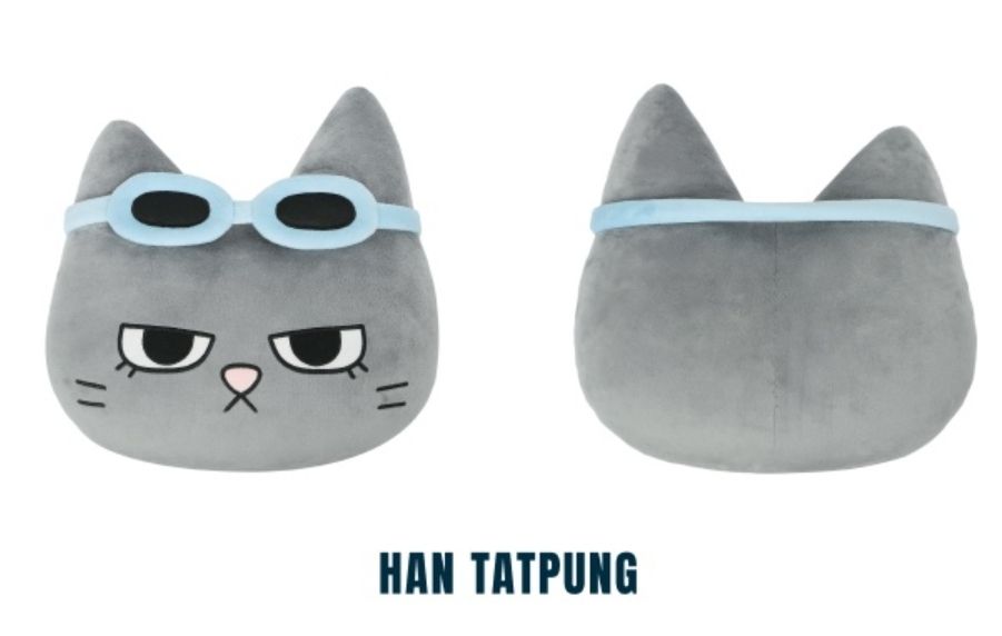 [BND出清-1] 泰山 泰豐 大頭抱枕 直出不用綁