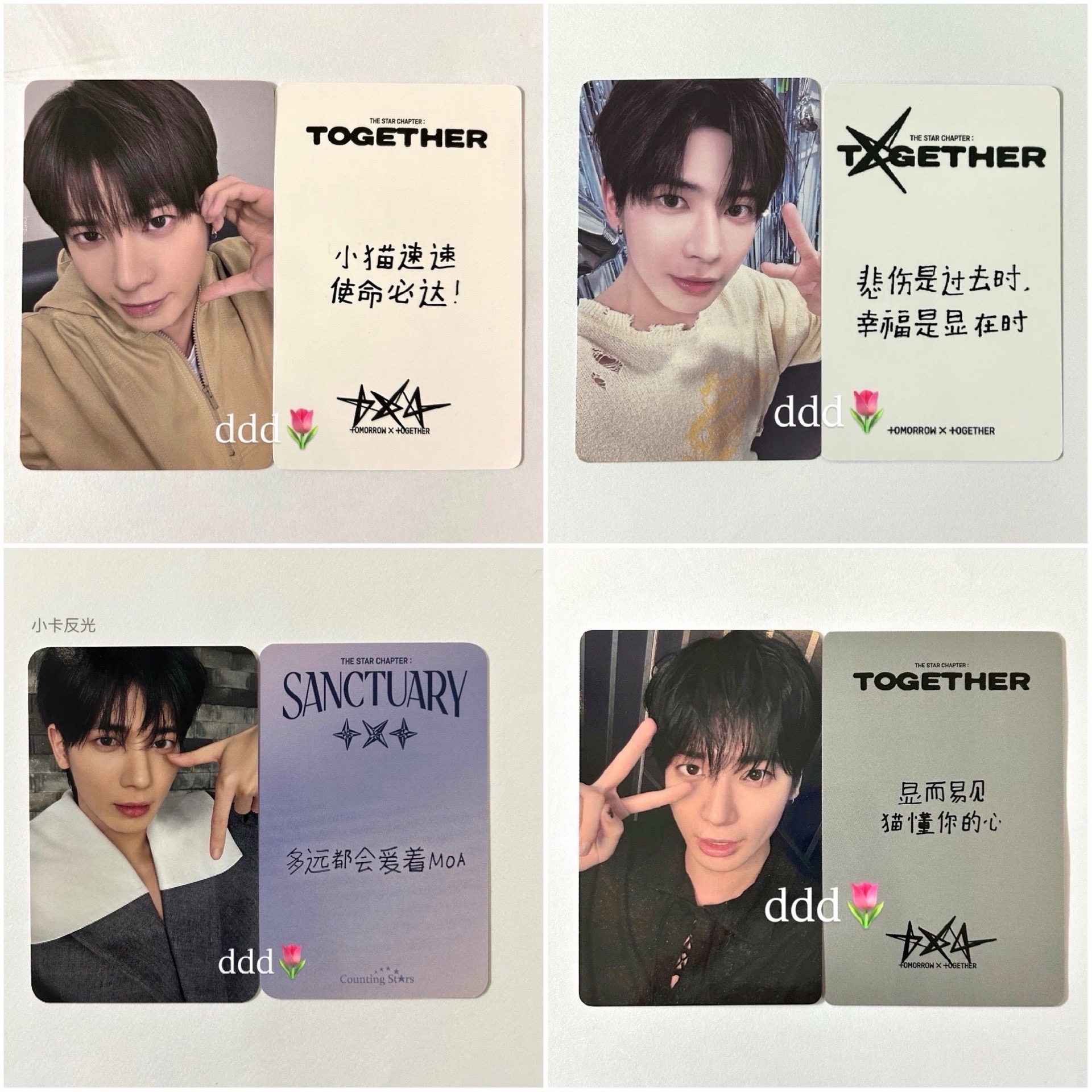 更❗️太顯 多中文卡背 姜太顯 