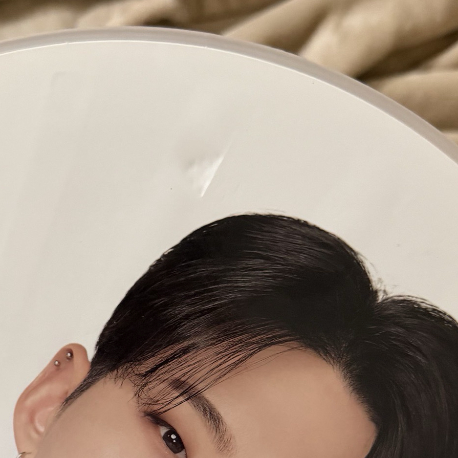 FOLLOW 日巡大扇 扇子 