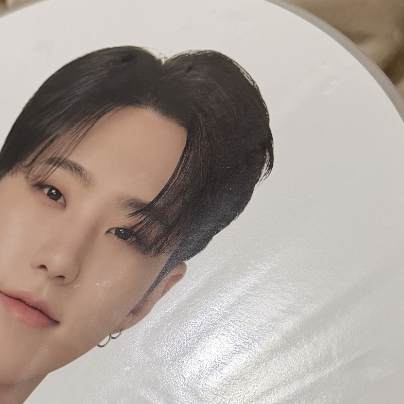 FOLLOW 日巡大扇 扇子 