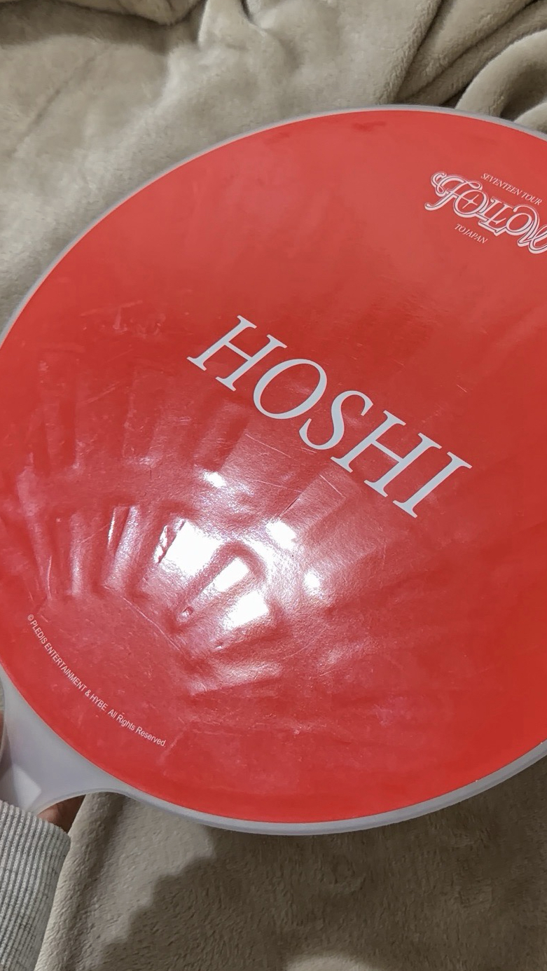 FOLLOW 日巡大扇 扇子 