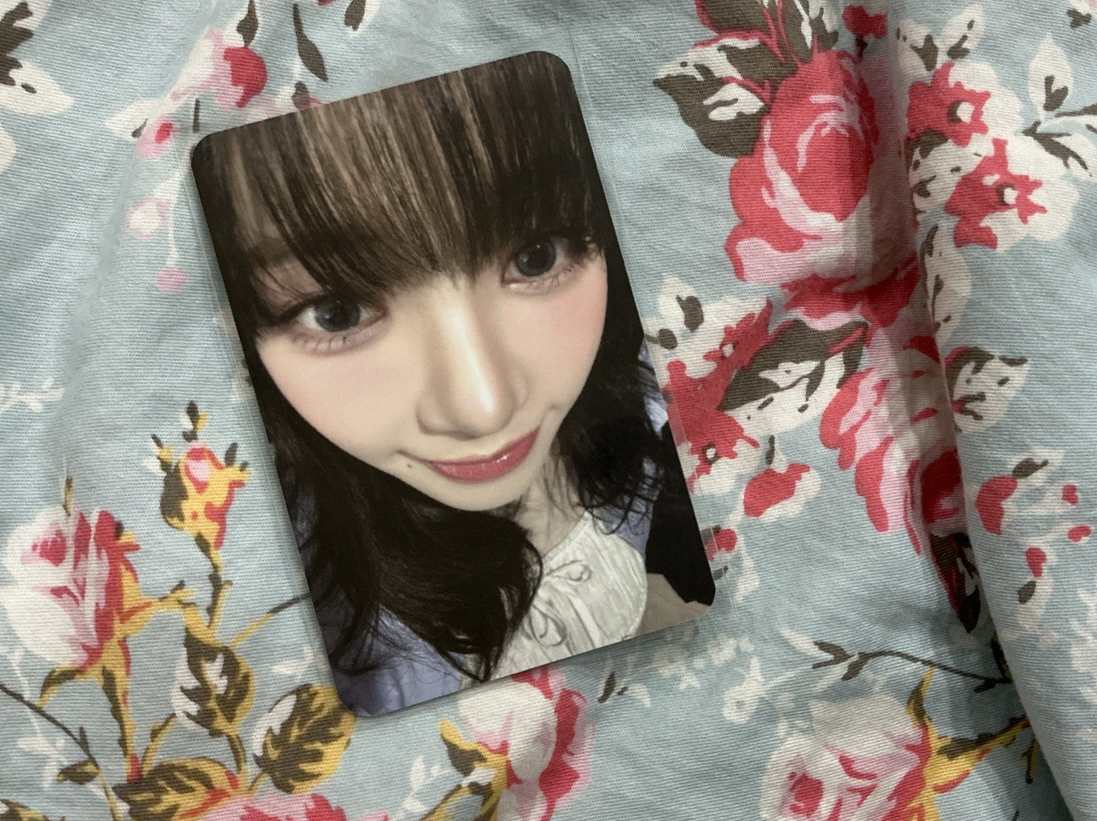 ⭐️四週年柚子