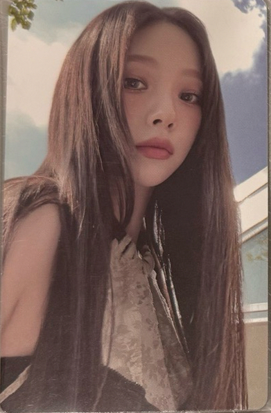 回憶錄 演唱會 DVD / CD 卡 數位版柚