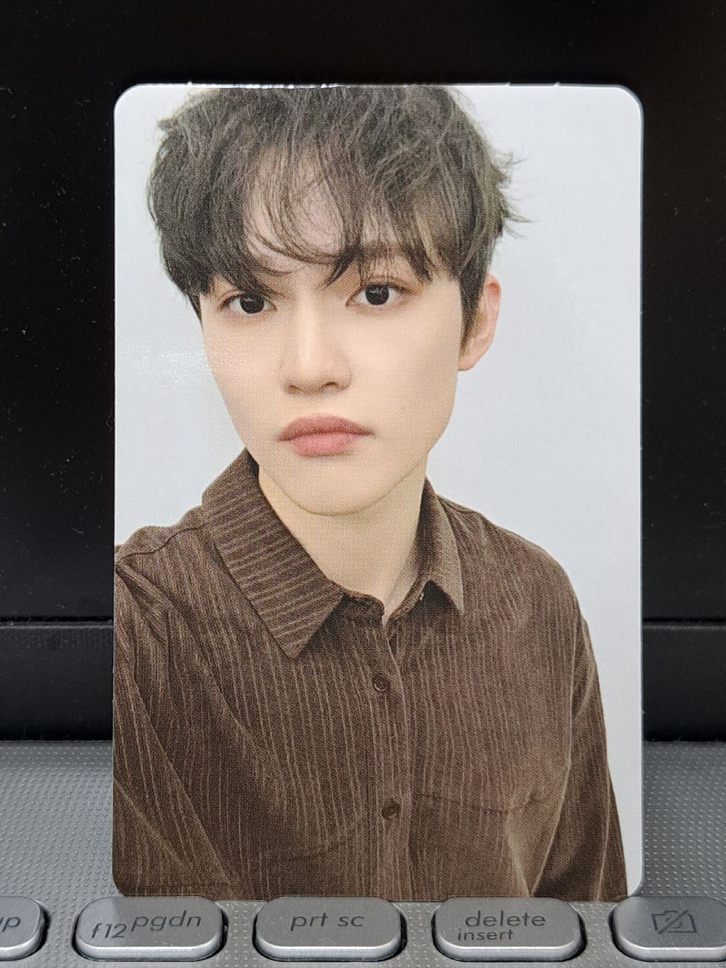 Dreamiez 隨機卡樂