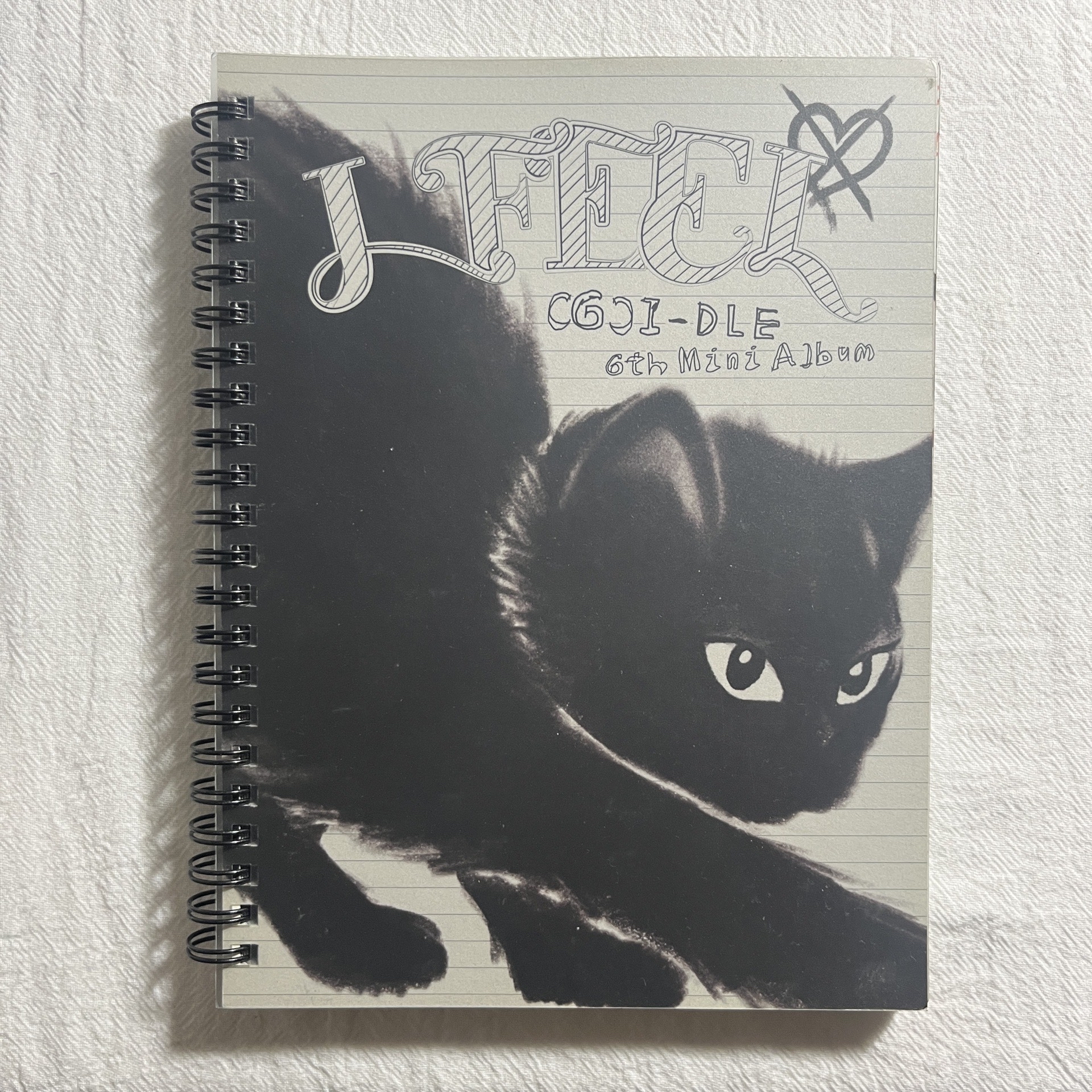 i-dle｜迷六《I feel》貓版空專🐈‍⬛