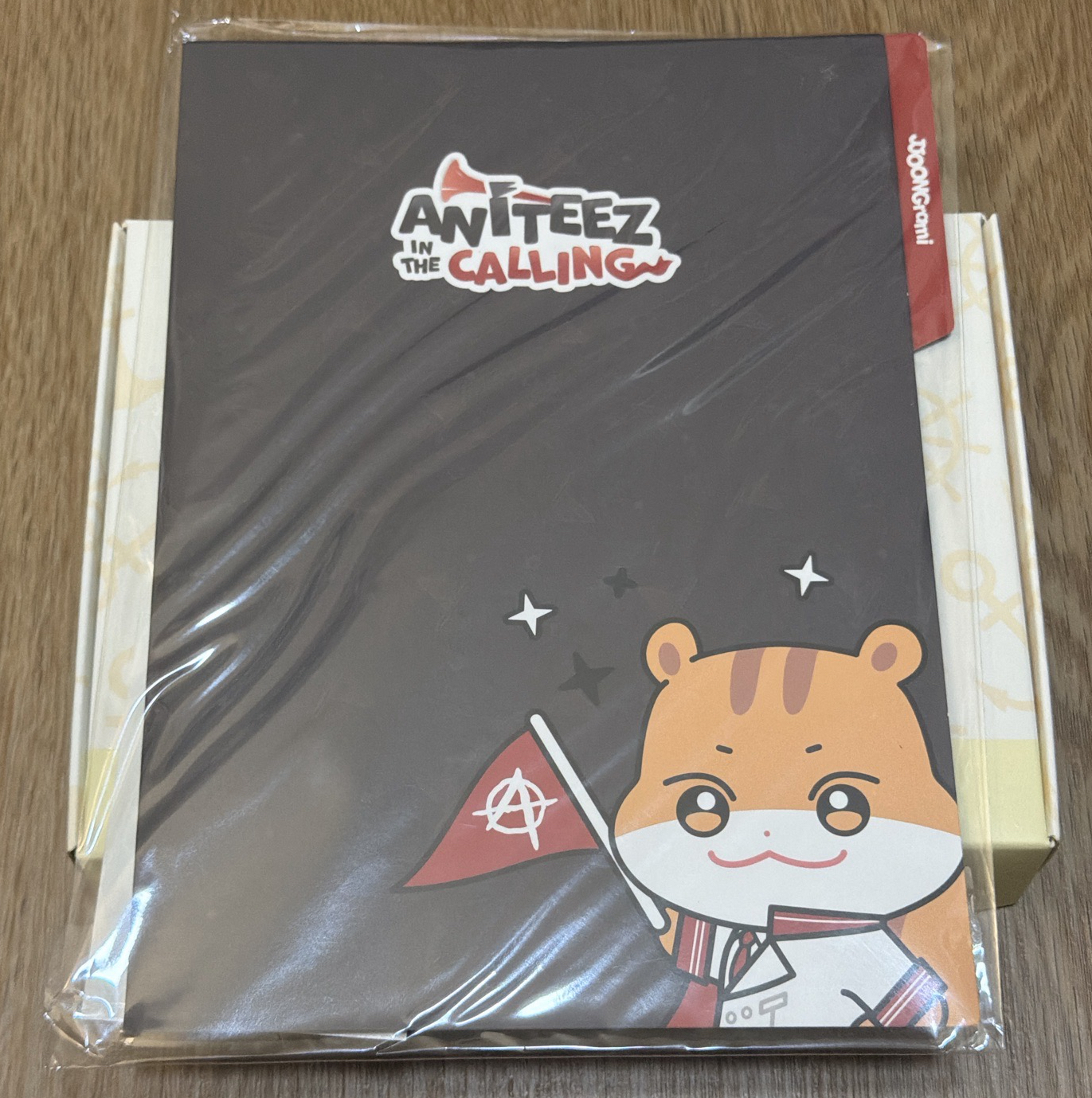 寫真L資料夾組 弘中