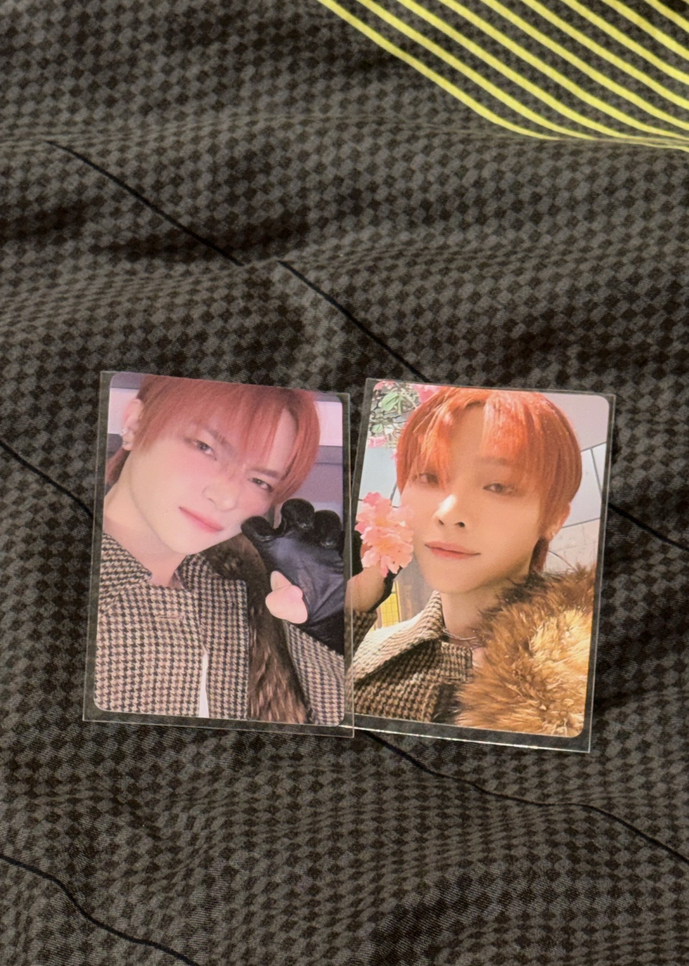 &team NICHOLAS 雪明