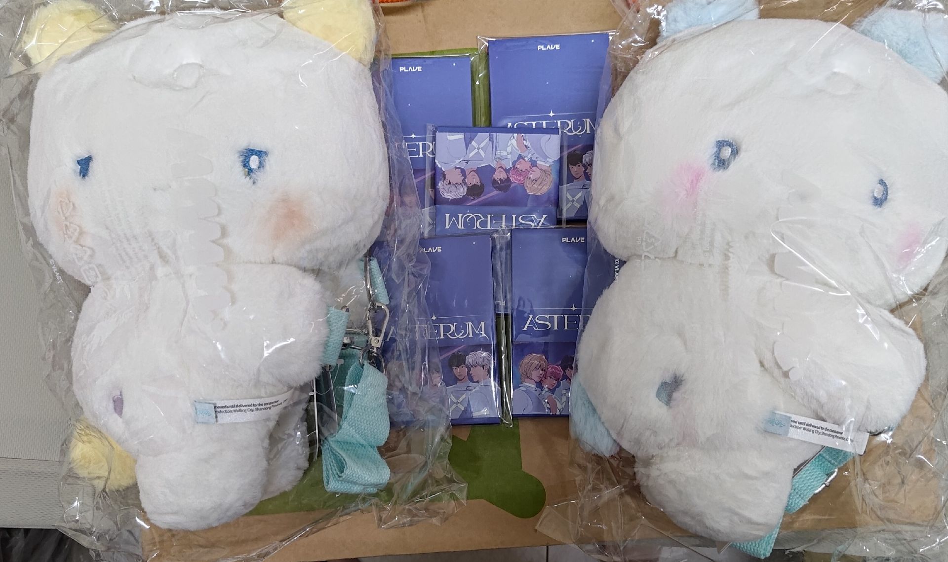 💙💜抱抱娃側背包+5張出道專(未拆)