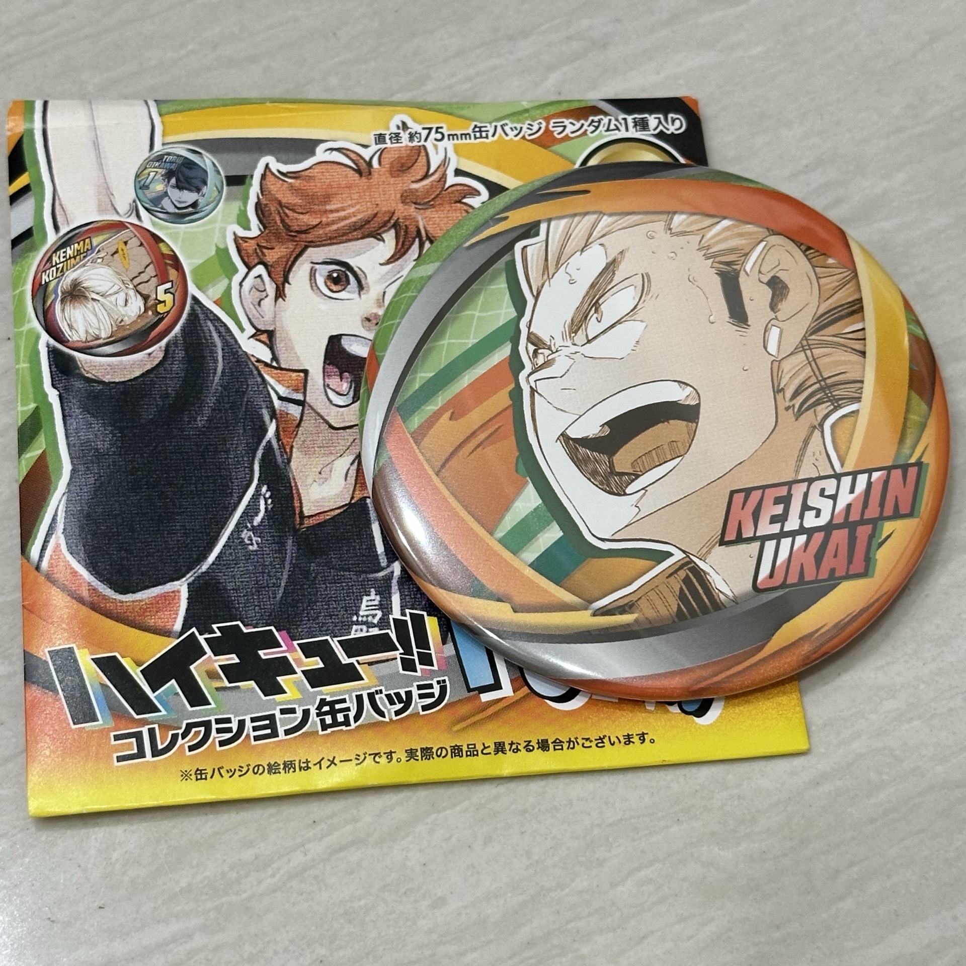 我的英雄學院 FAN PARK 徽章 烏養教練