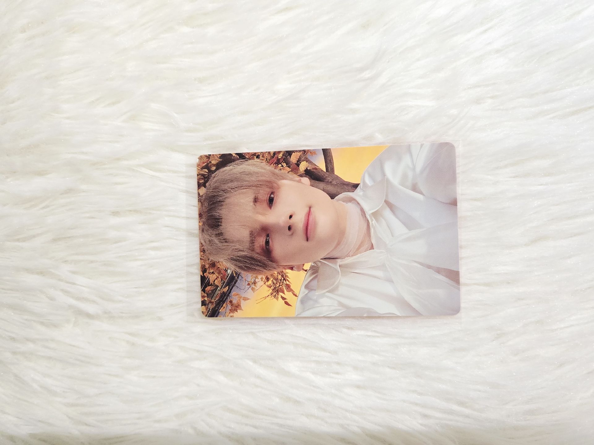 迷六單封 Light版 寧專卡