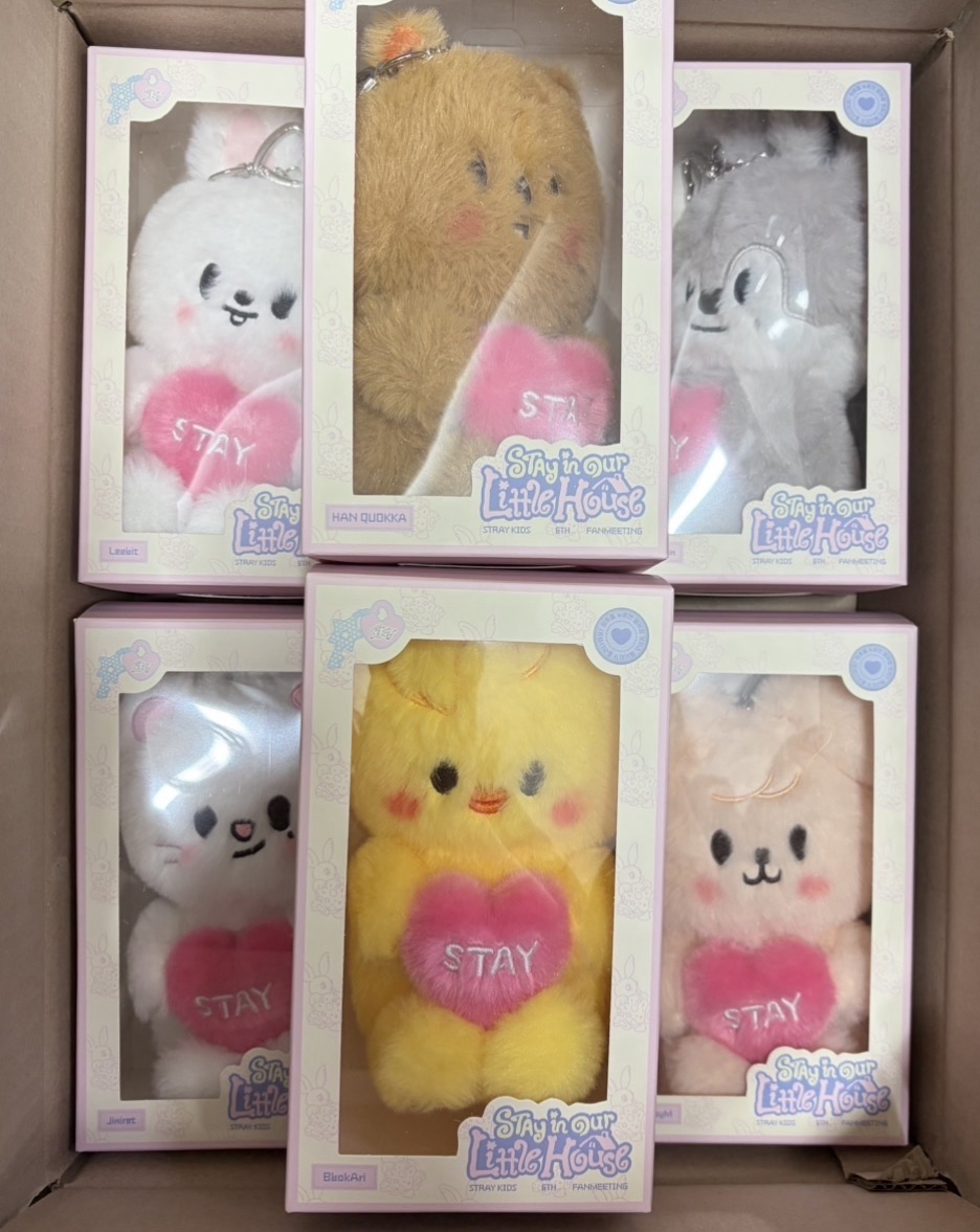 全新現貨 SKZ 6th語音娃