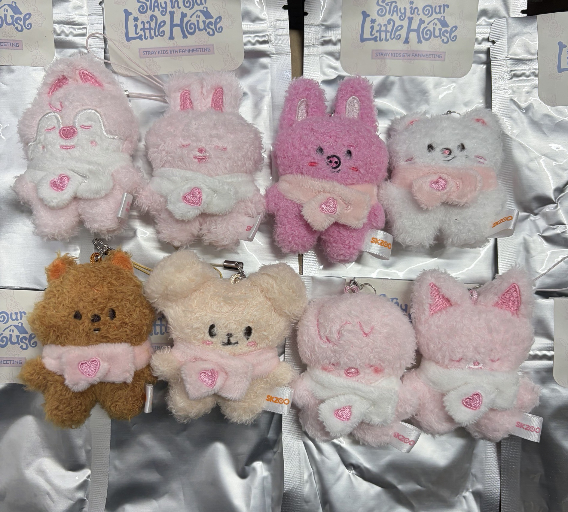 全新 現貨 SKZ 6th 潦草娃