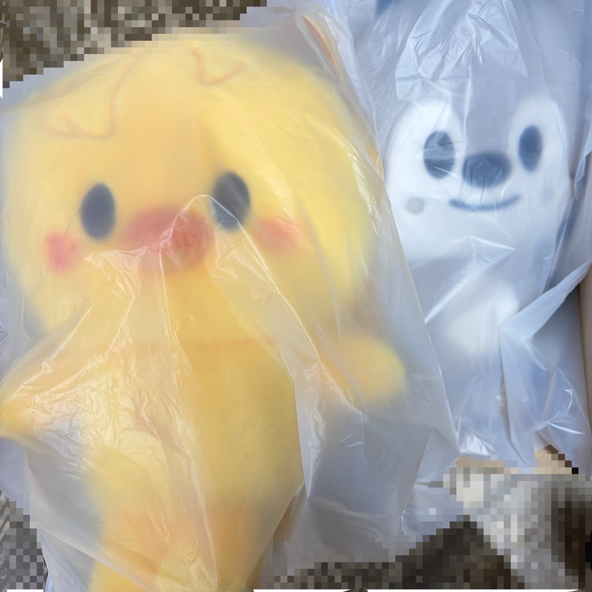 全新 現貨 SKZ 6th 背包娃+卡