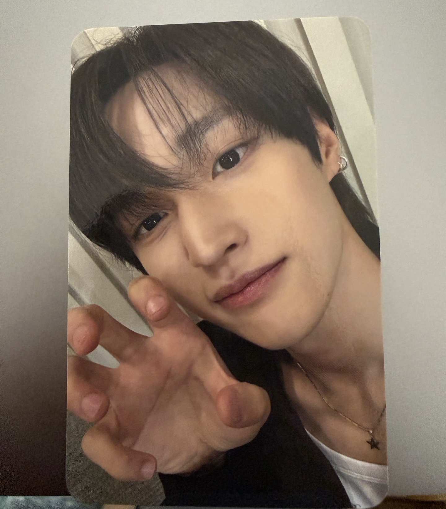 有全員｜貓爪 odyssey ms台北簽售卡 繁中背