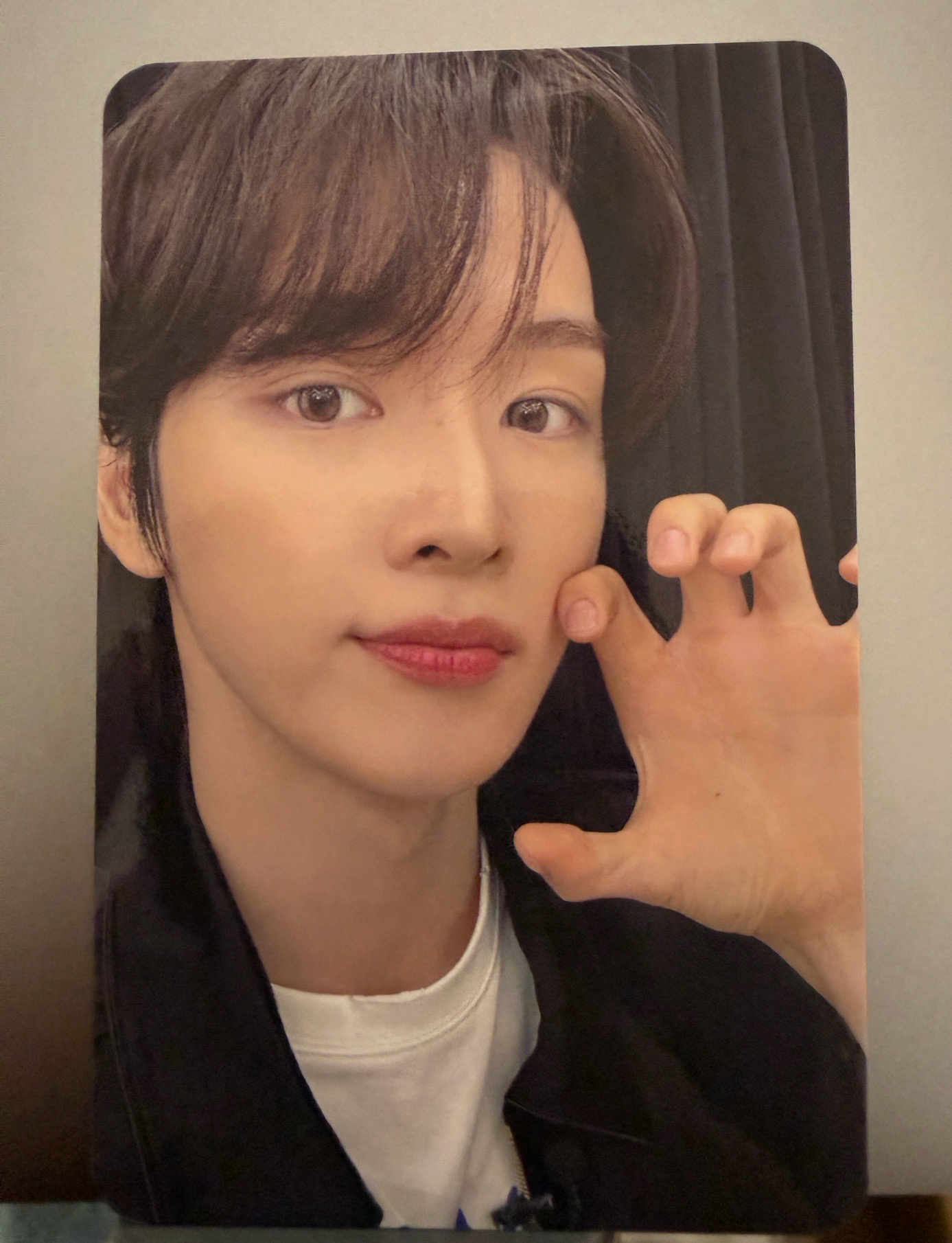 貓爪 odyssey ms台北簽售卡 繁中背