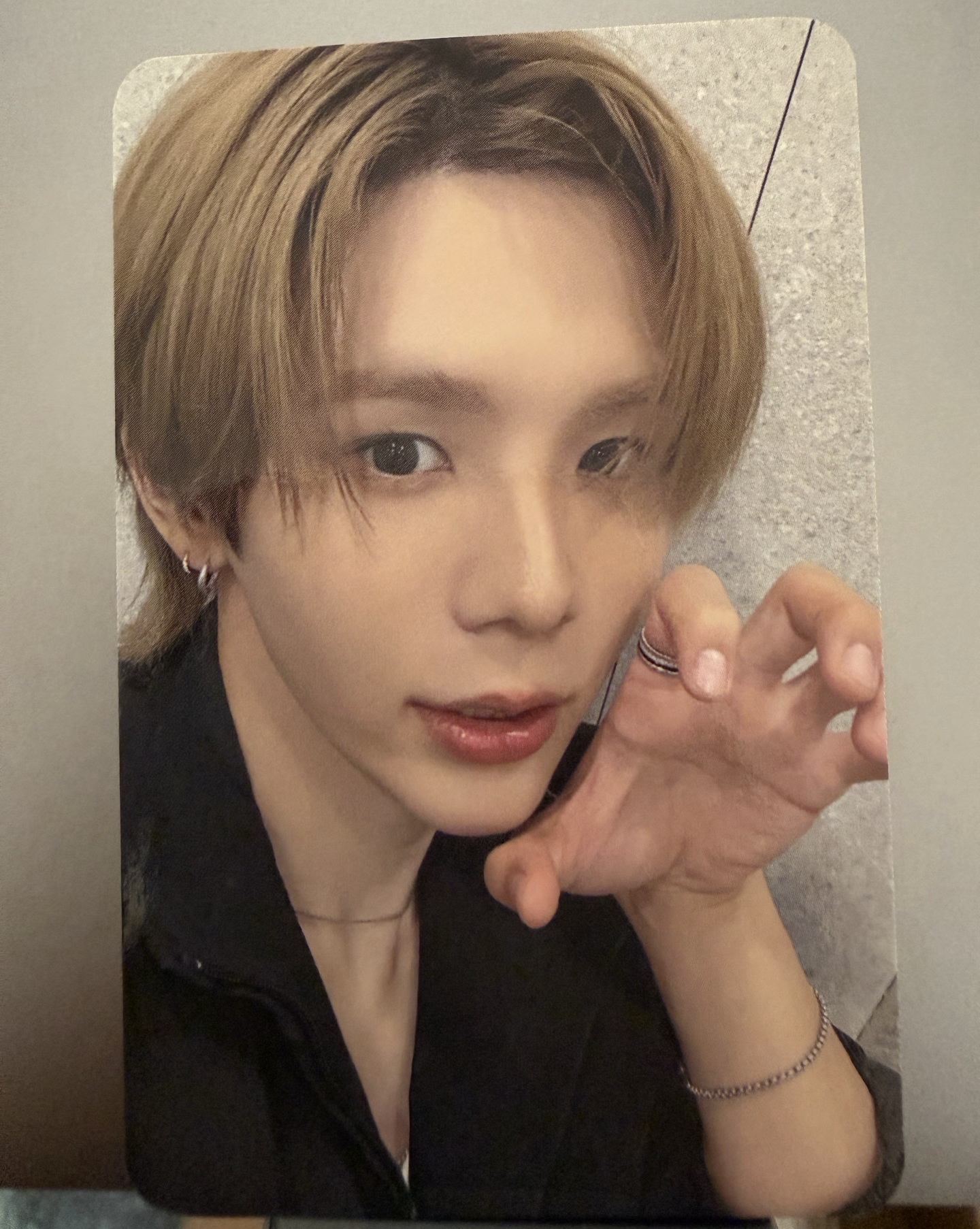 貓爪 odyssey ms台北簽售卡 繁中背