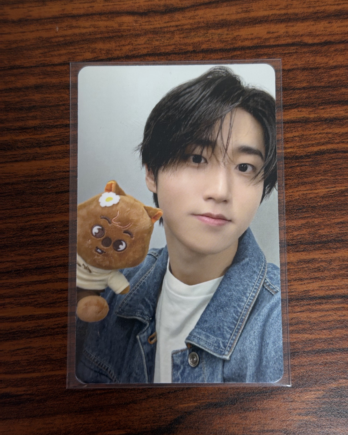 動物方城市 線上滿額 城