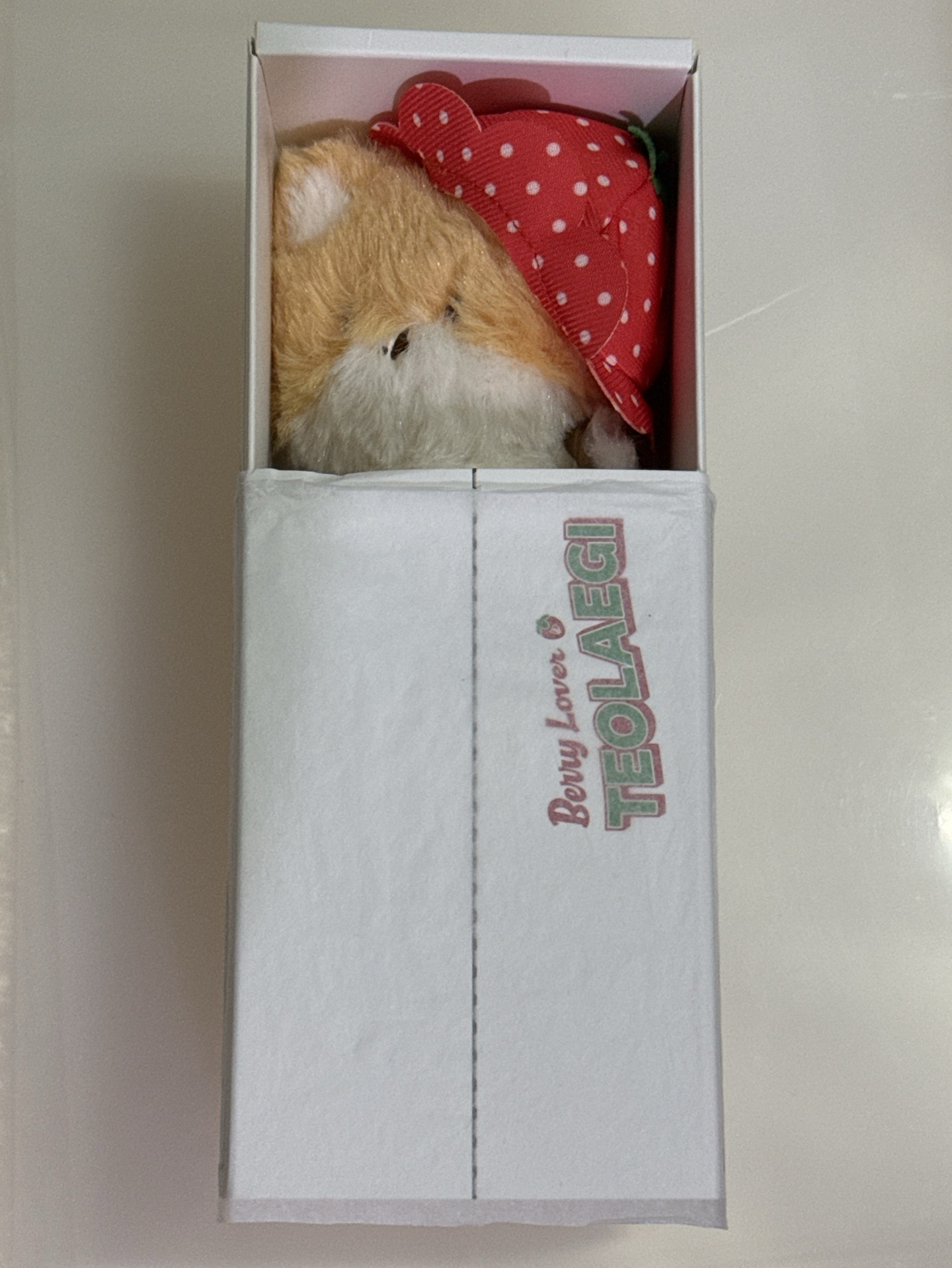 出清 草莓特萊奇（有盒損）含大量伯賢周邊