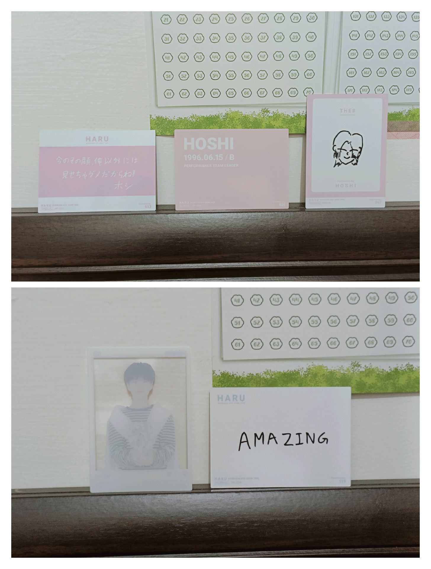 Hoshi Japan Tour HARU 日卡