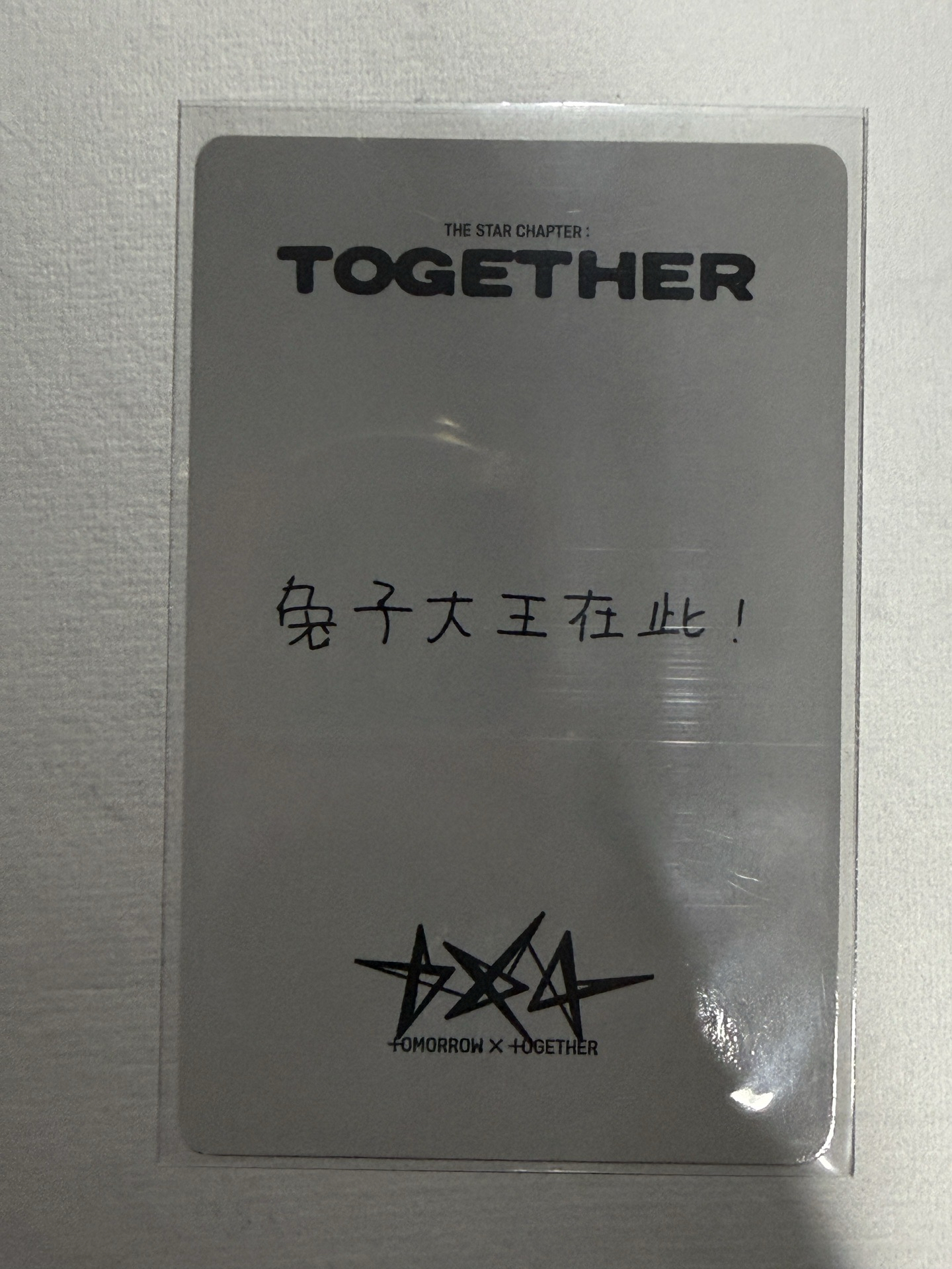 （中背）兔子大王在此！