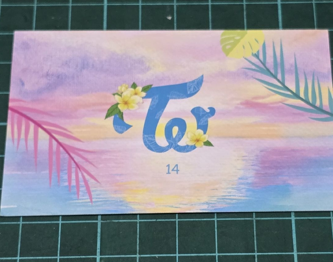 夏日隨機卡 14 志效 有損