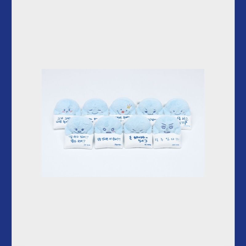 «線上預購» SJ SS10🇰🇷安可場 螢幕娃娃