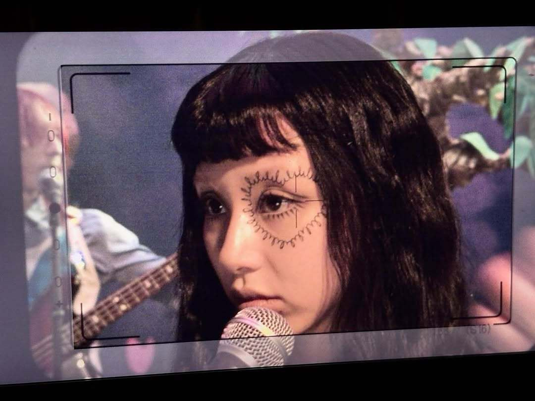 🐯