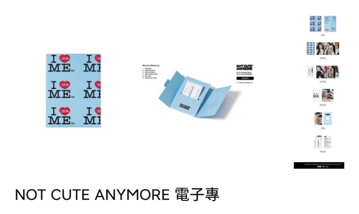 NOT CUTE ANYMORE 電子專 未拆