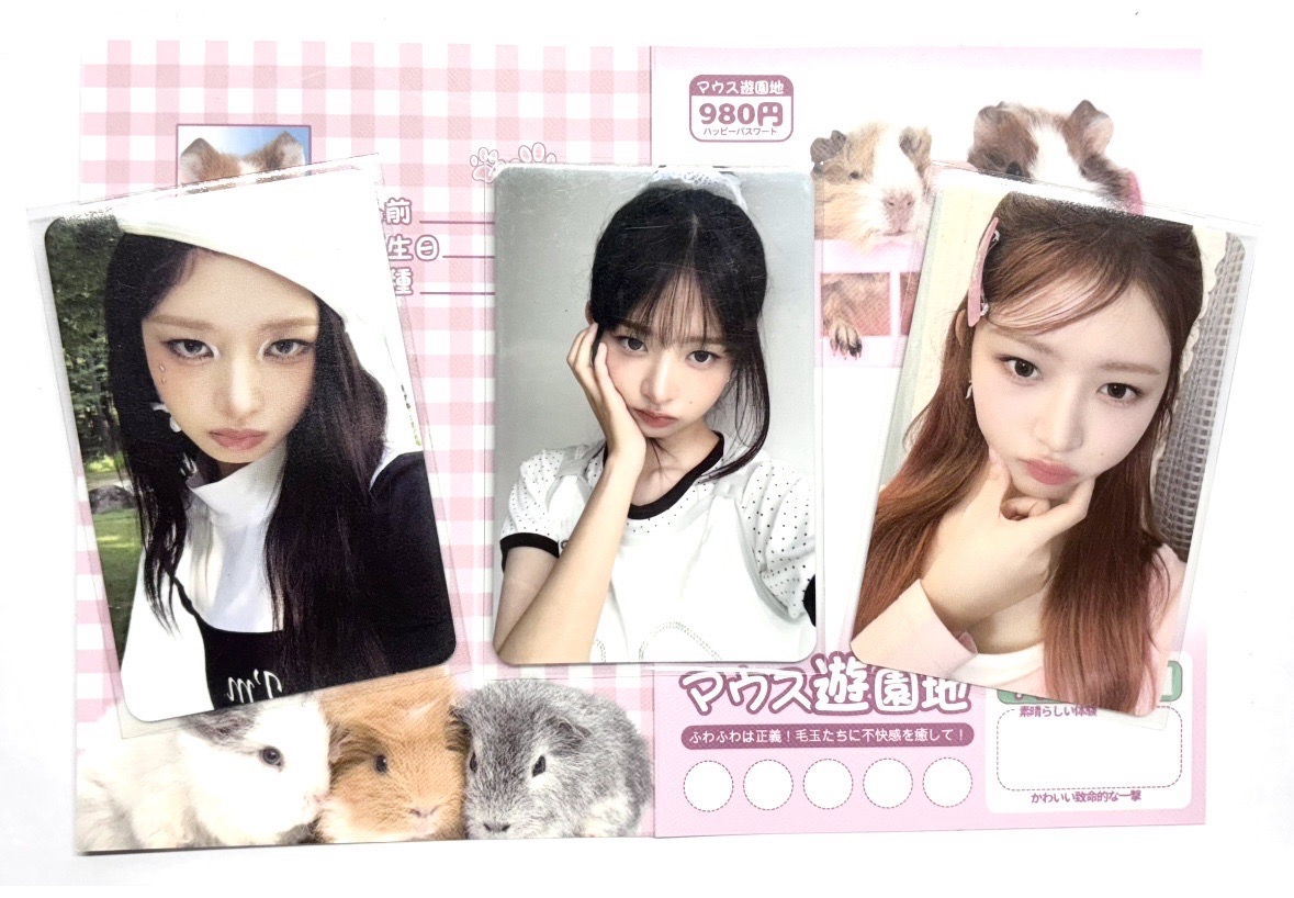 四星怜+專輯怜+年曆怜