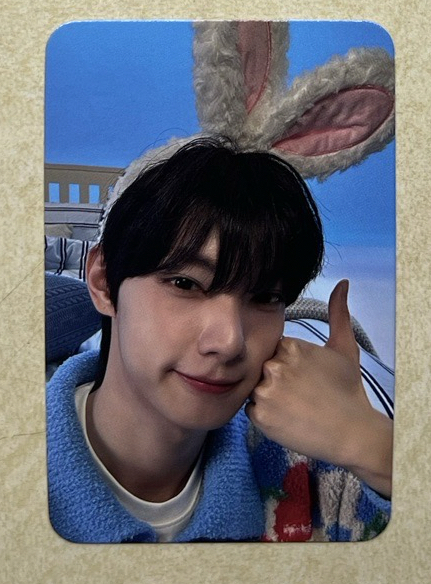 🐰