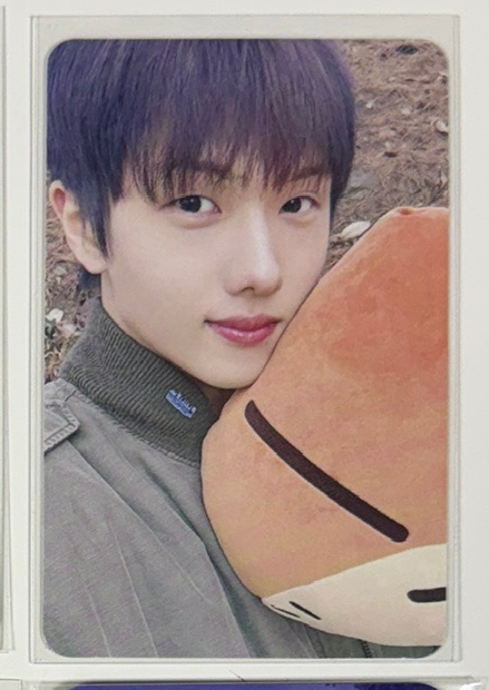 朴志晟 GUNBAMMAN 栗子人 周邊卡 抱枕小卡