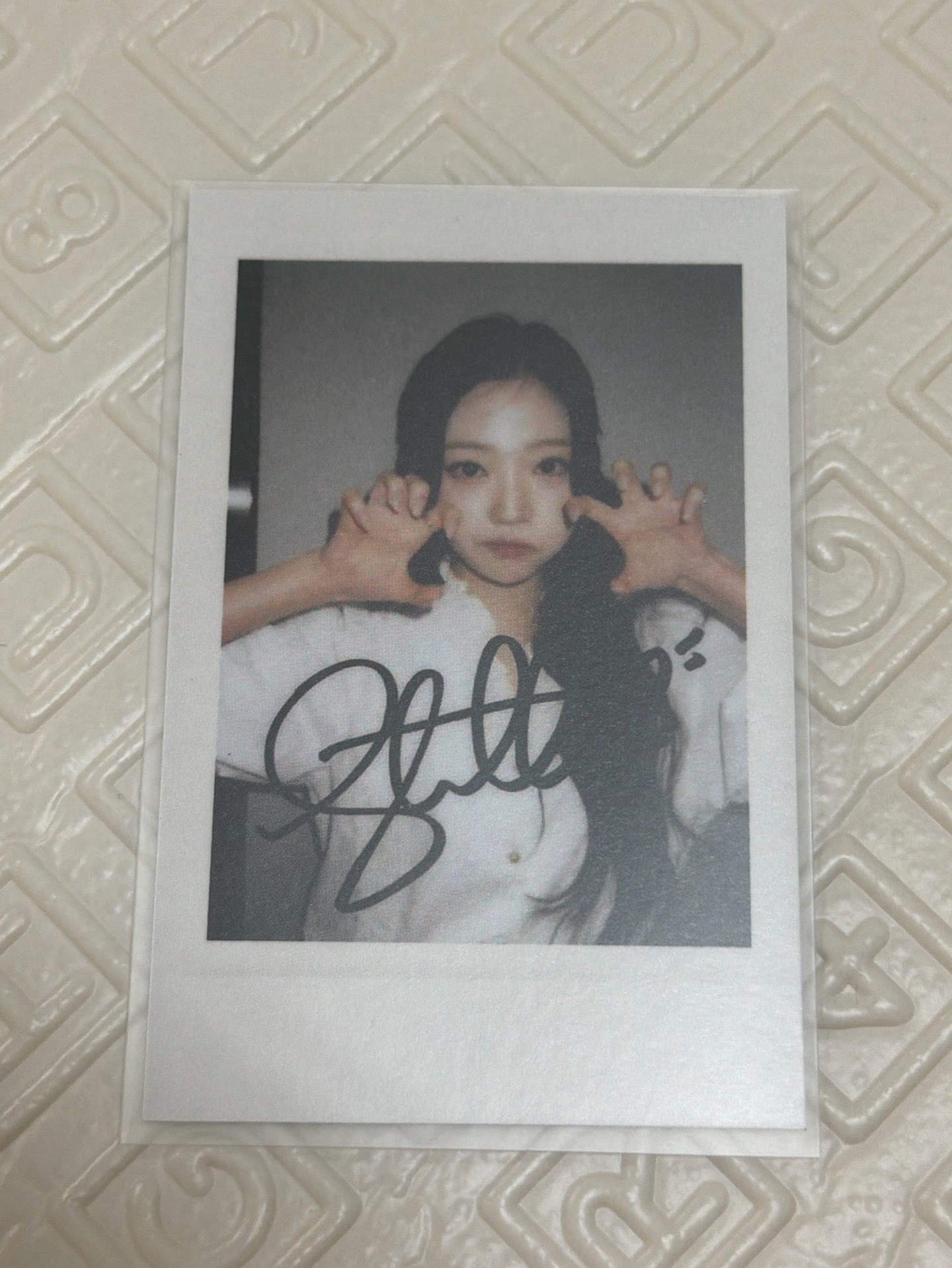 Focus sr 2.0 簽售卡 拍立得