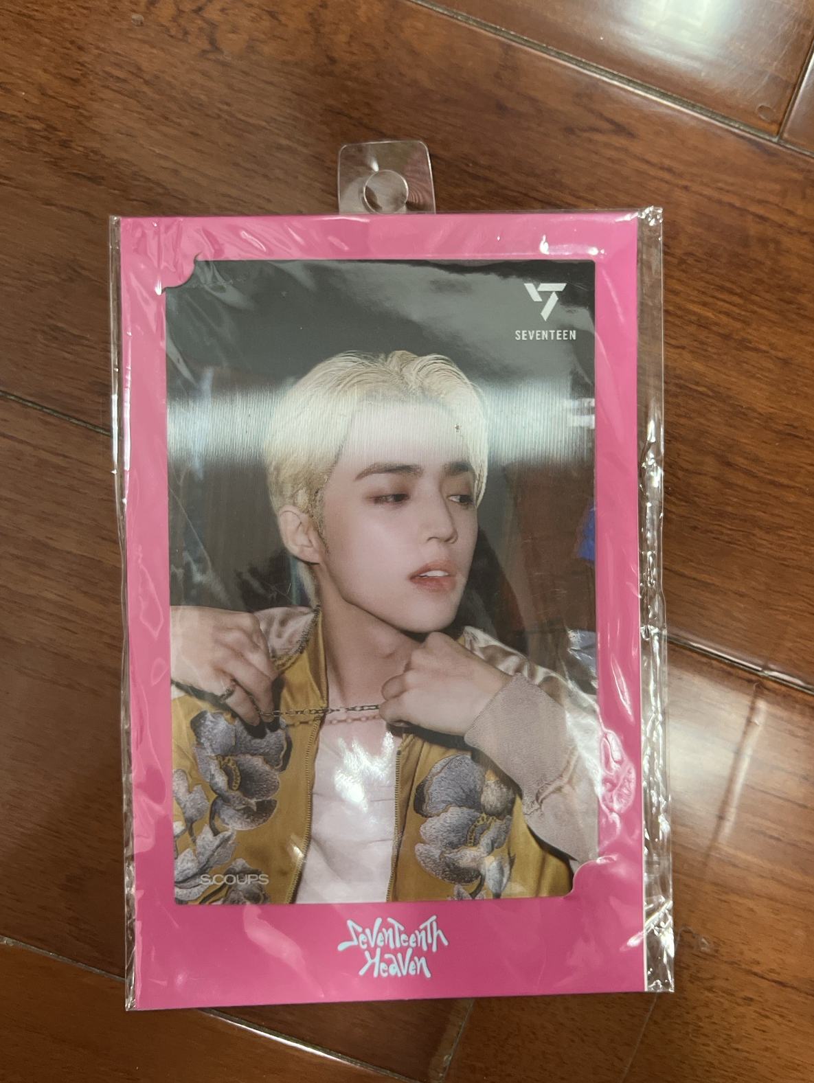 扯項鍊哲 明信片（可單帶不可被綁）