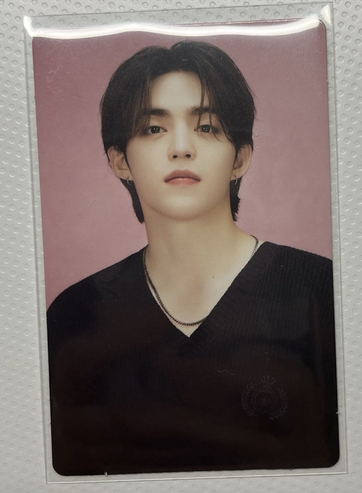 哲（臉上有一點廠損）