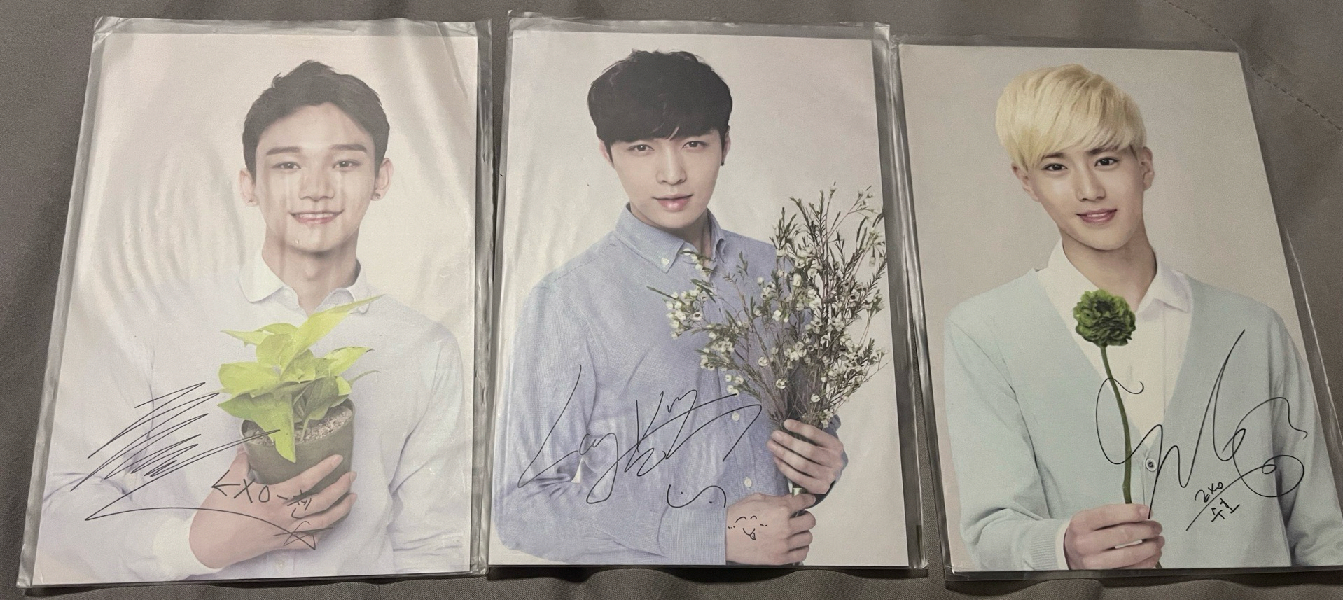 自然樂園明信片