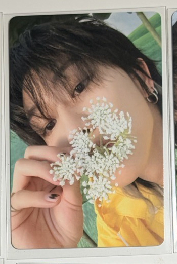 迷11 克拉盤 專卡1