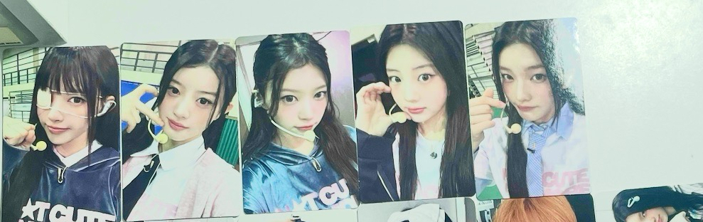 Dingo一套 均260/1