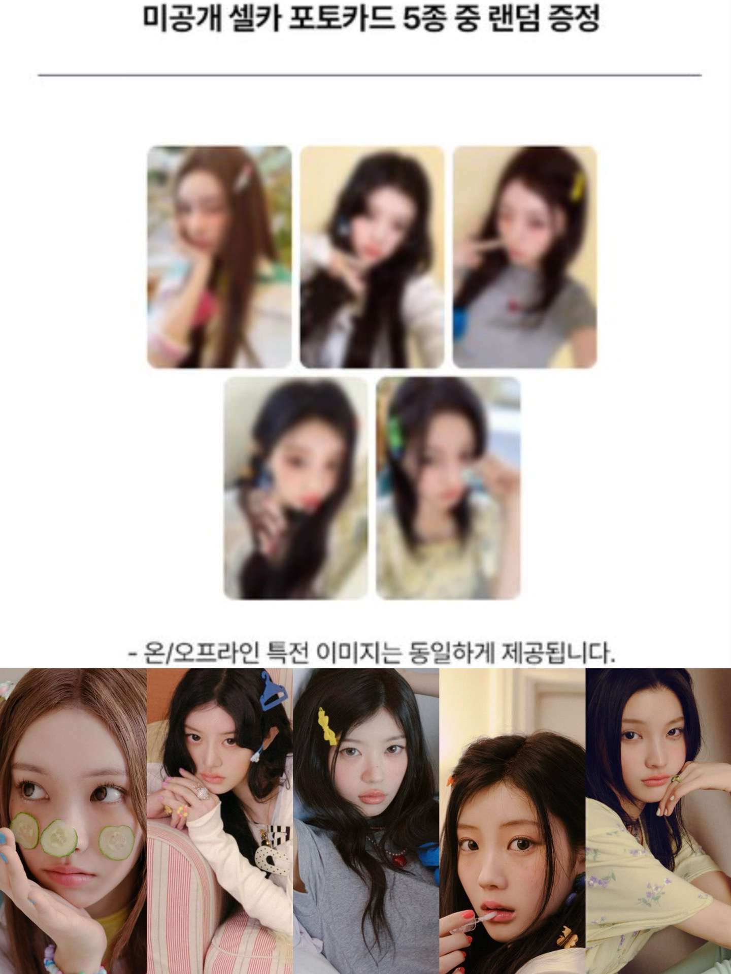 illit oy指定卡🪞