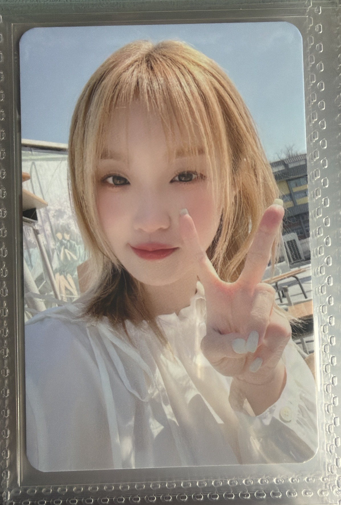 ms9.0簽售卡