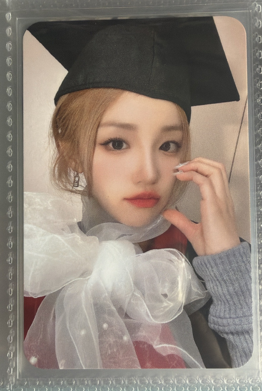 ms5.0特典卡
