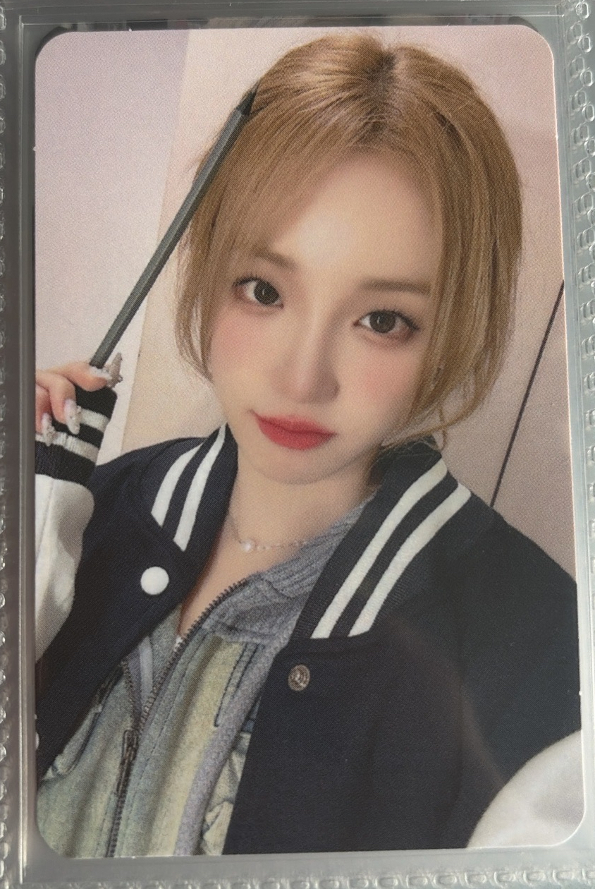 ms5.0特典