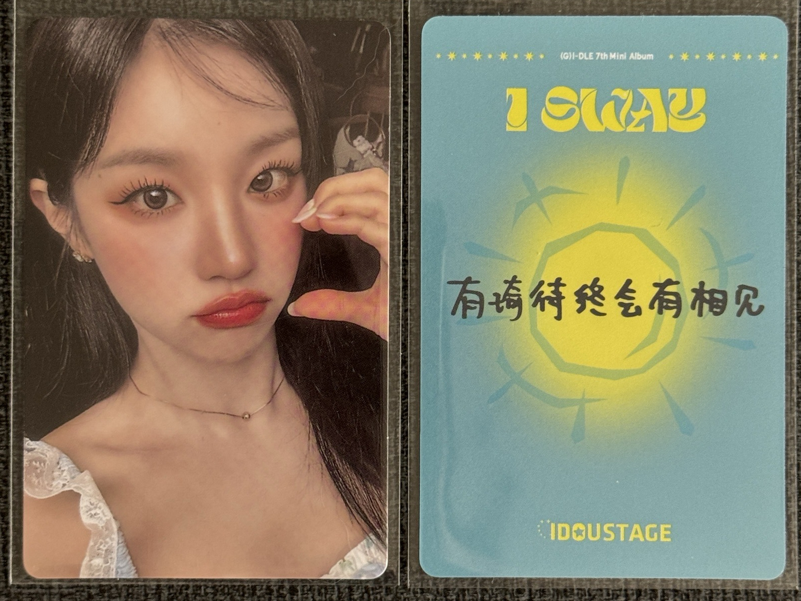 迷七 愛豆驛站 中文卡背 琦