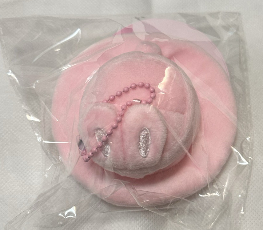 全新未拆 Aniteez 帽子造型吊飾 咚星