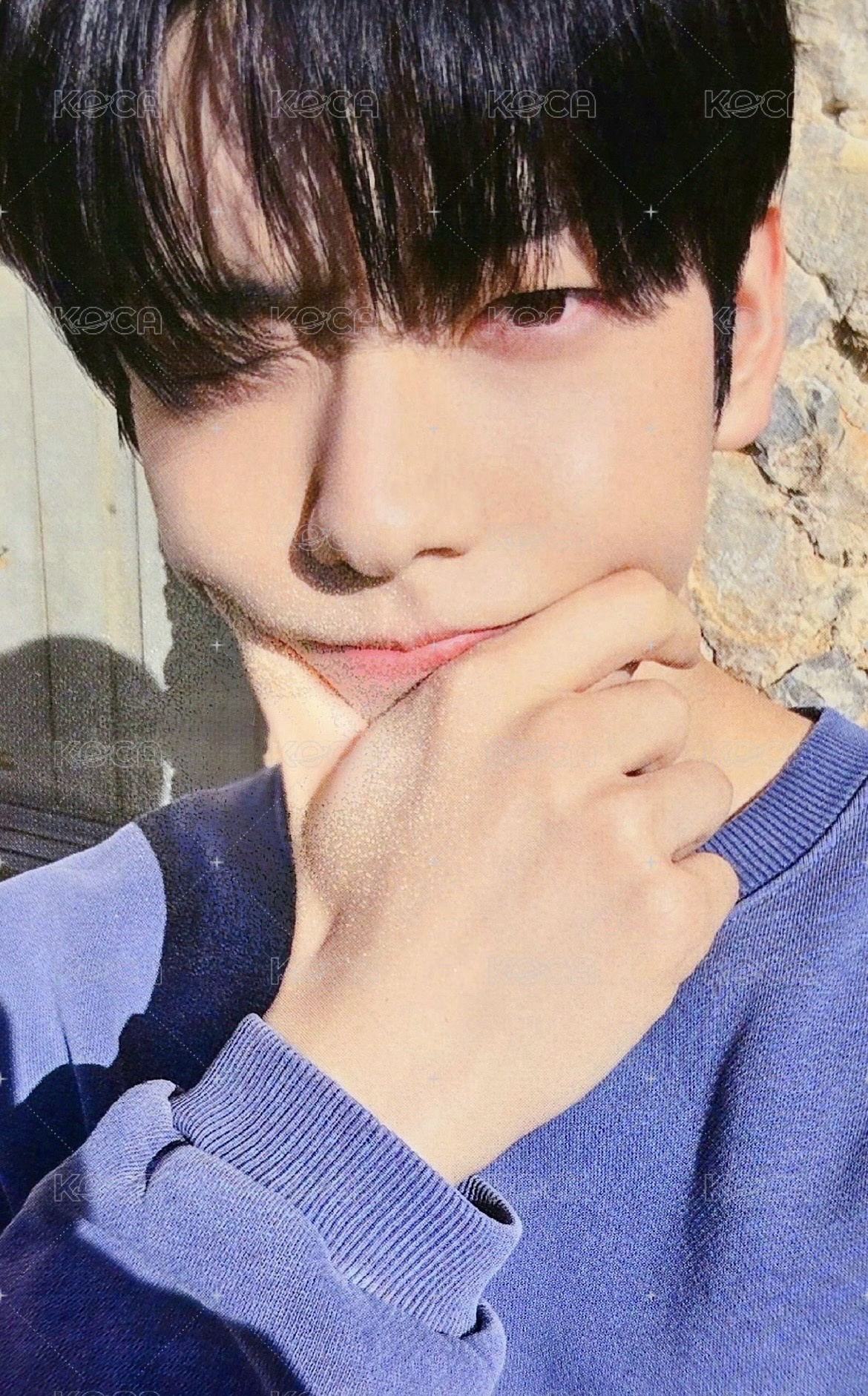 愛之語 日咖 特典卡 彬