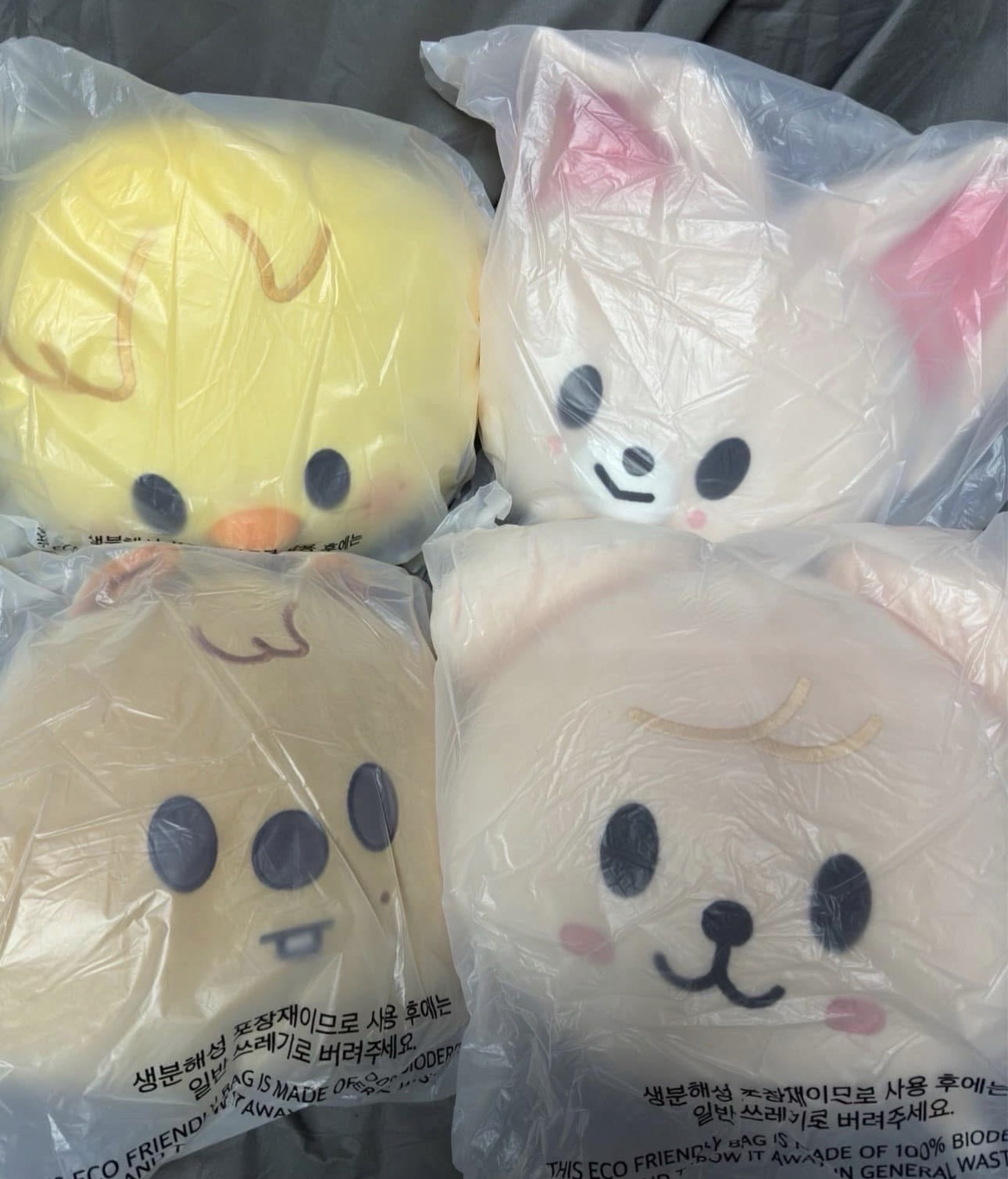 SKZOO 抱枕 城 菲 玟 寅