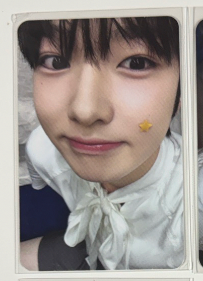 Steady 快閃周邊 SAKUYA 外套小卡 